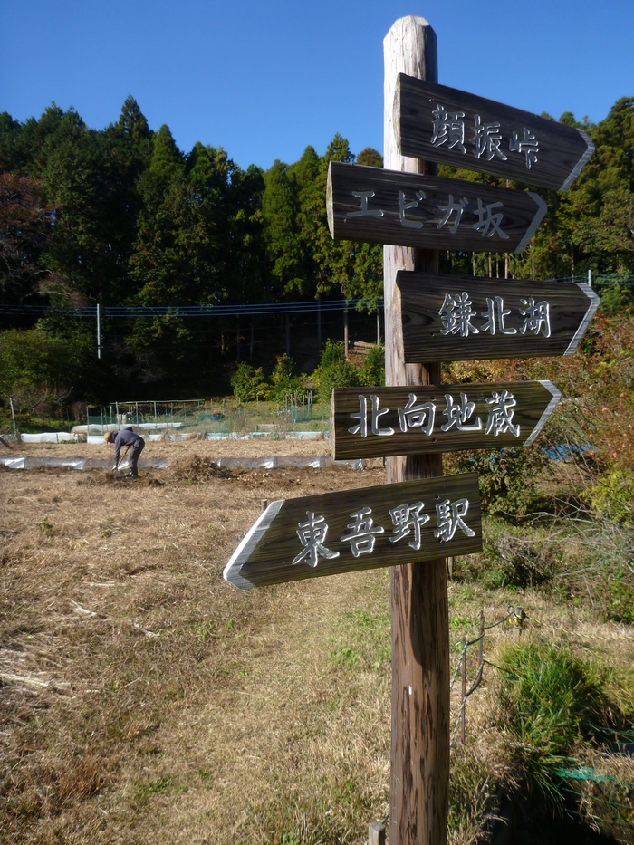 a0243396_20492945.jpg