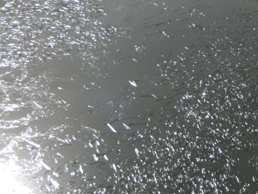 d0262797_23485375.jpg