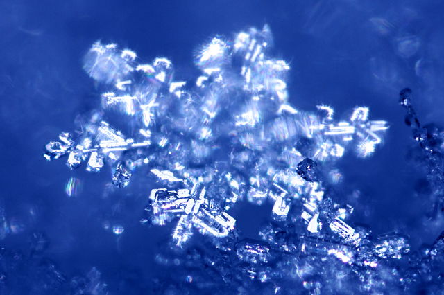 c0074000_22404157.jpg