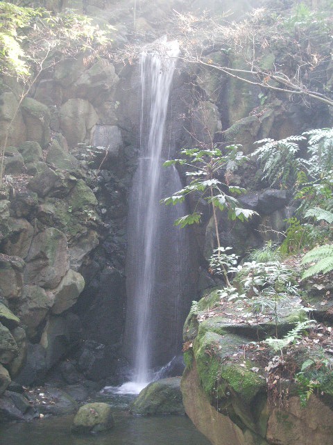 e0025300_13425443.jpg