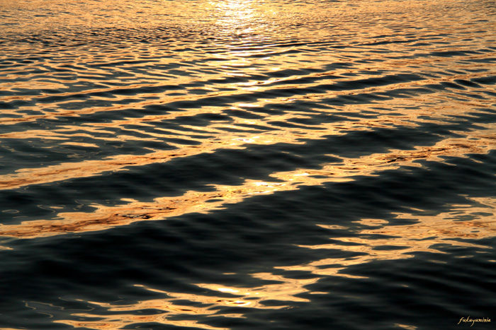 f0185802_210766.jpg
