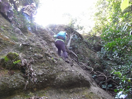 f0187402_20544218.jpg