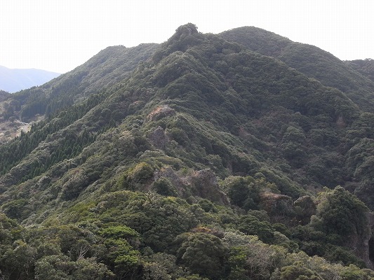 f0187402_20551212.jpg