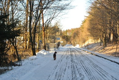 a0134004_21363441.jpg