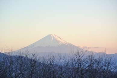 a0134004_21513223.jpg