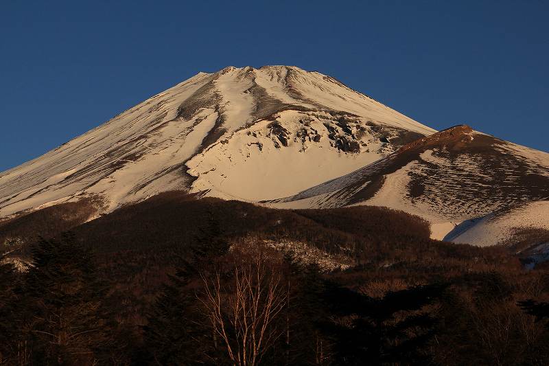 a0188405_2025983.jpg