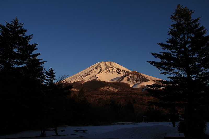 a0188405_2037735.jpg