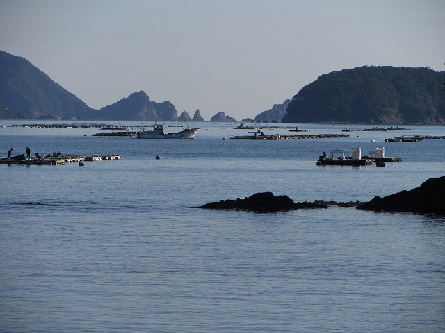 d0154609_14341454.jpg