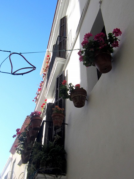 b0064411_20263713.jpg