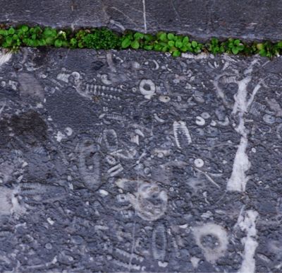 e0142611_2151544.jpg