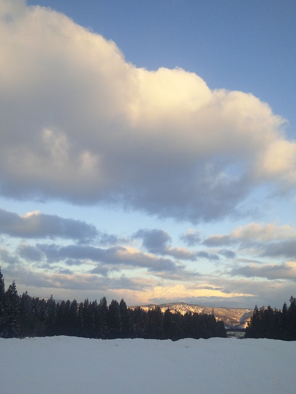 b0199924_13382569.jpg