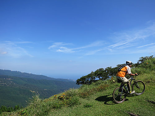 d0023725_1055128.jpg