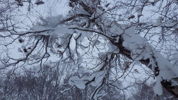 f0118332_21402149.jpg
