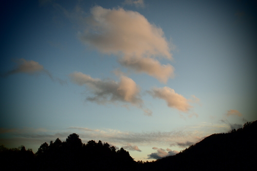 b0290133_8571096.jpg