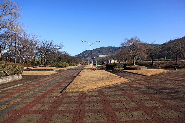 a0242438_19184483.jpg