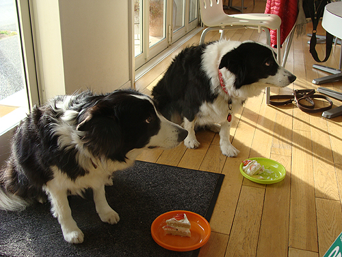 e0142838_1031262.jpg