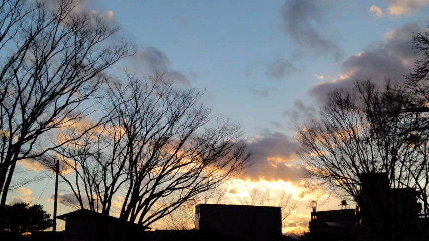 f0056038_14291332.jpg