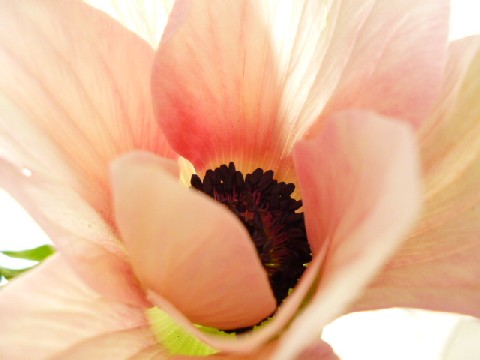 a0255040_13375394.jpg