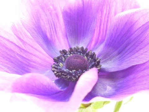 a0255040_13382665.jpg