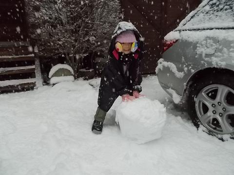 a0124543_2011450.jpg