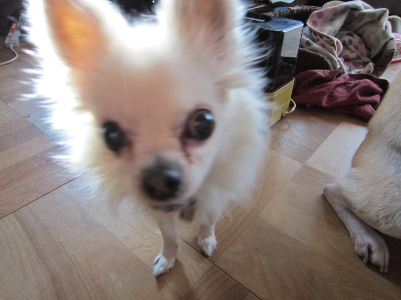 b0072650_144767.jpg