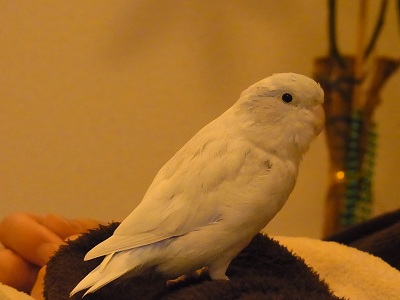 a0251851_044259.jpg
