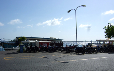 f0190653_134792.jpg