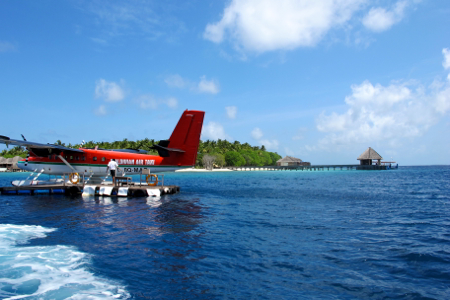 f0190653_14134929.jpg