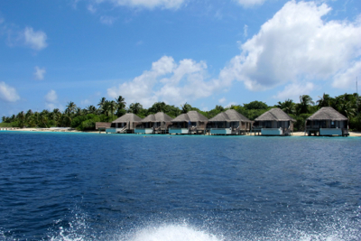 f0190653_14135594.jpg