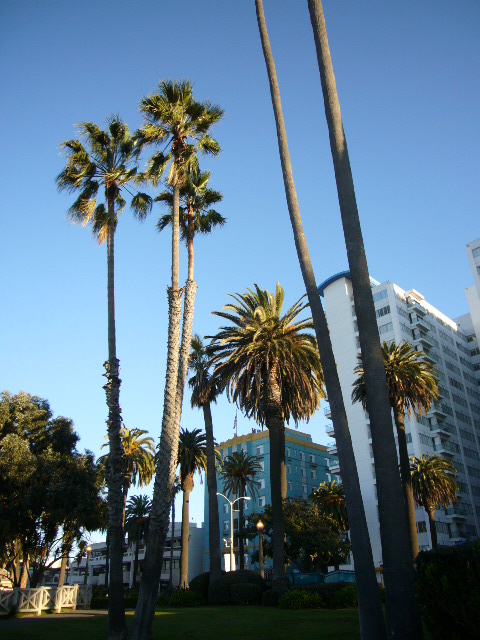 f0147556_1931929.jpg