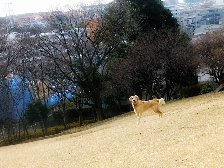 c0097558_2359331.jpg