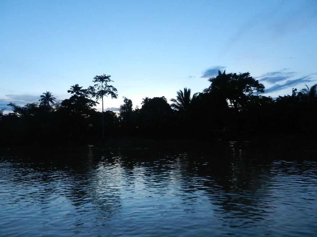 d0137658_1056458.jpg