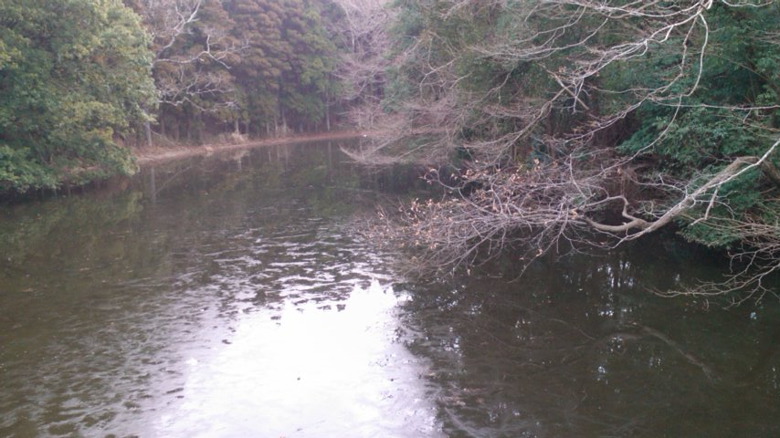 e0271461_17441889.jpg