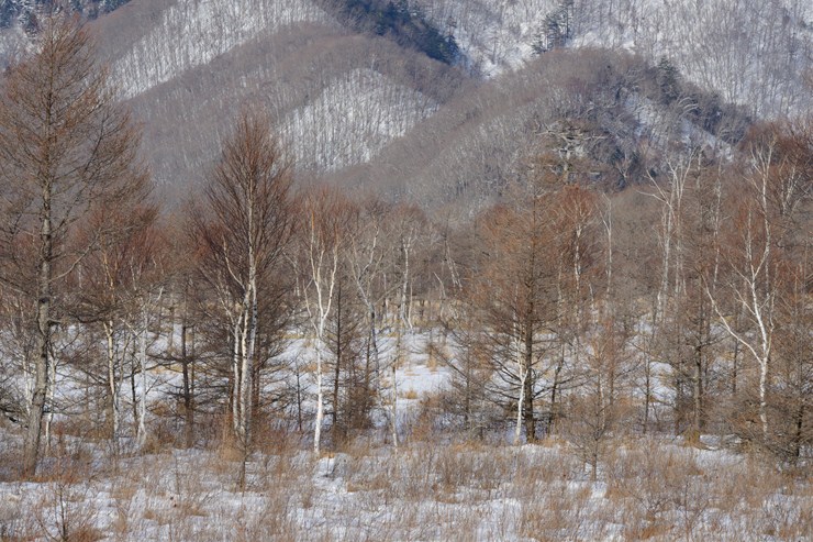 f0222161_13191636.jpg