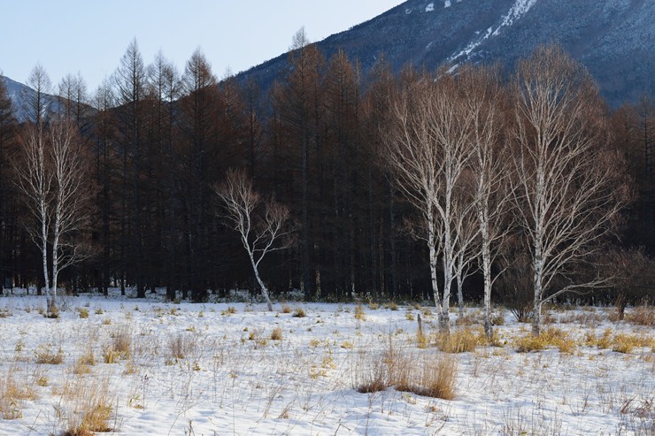 f0222161_1319490.jpg