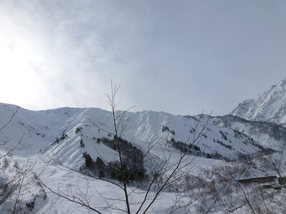 b0164568_835658.jpg