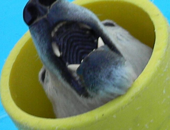 b0014576_1973712.jpg