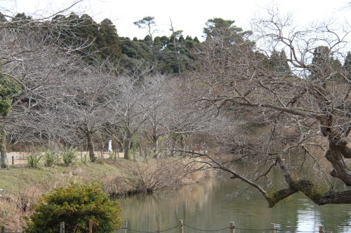 e0114977_2235293.jpg