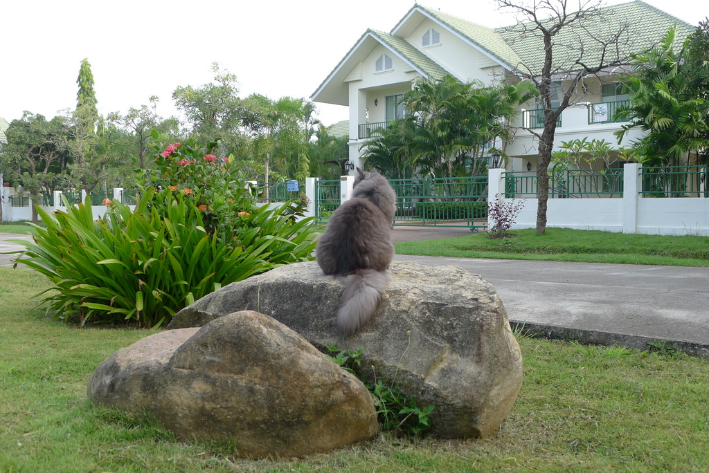 f0178278_9595051.jpg