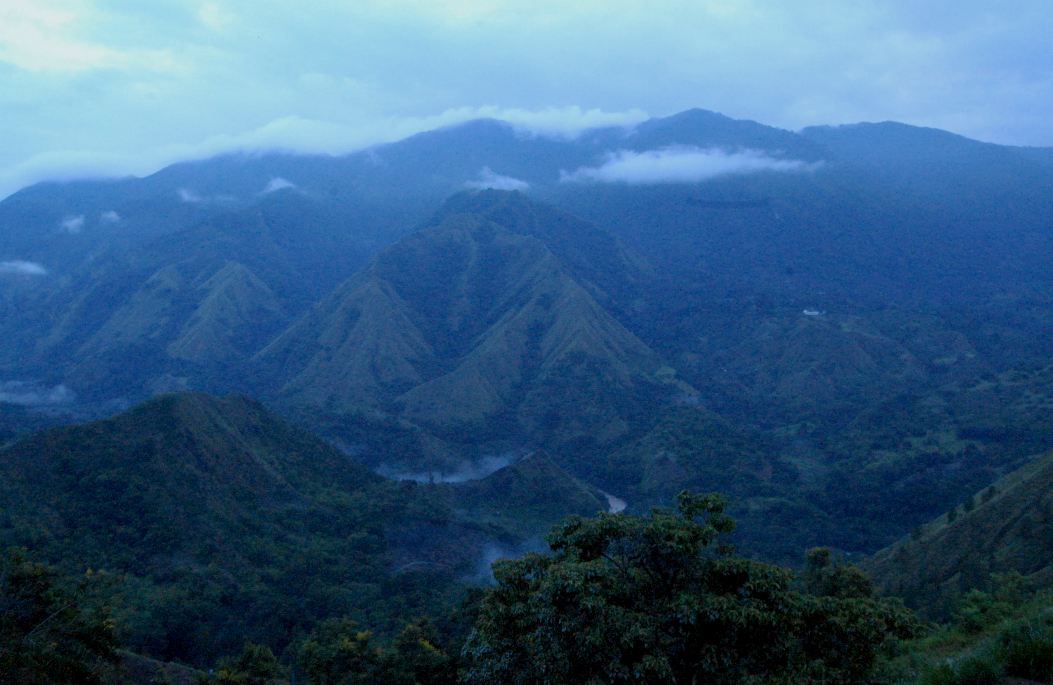 f0159179_19484255.jpg