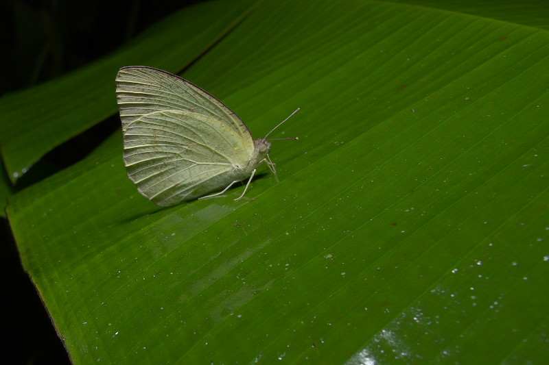 f0090680_22294464.jpg
