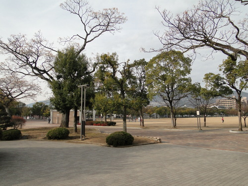 a0251786_042491.jpg