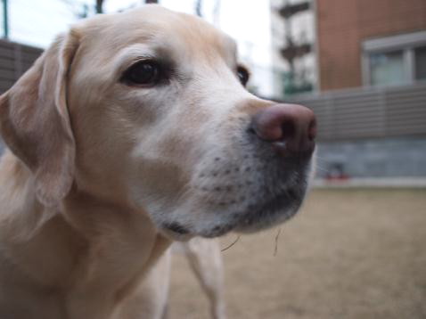 c0028792_22271887.jpg