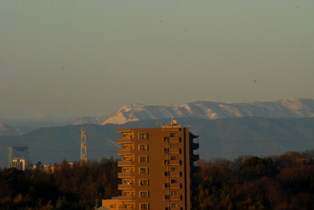 d0168292_1753552.jpg