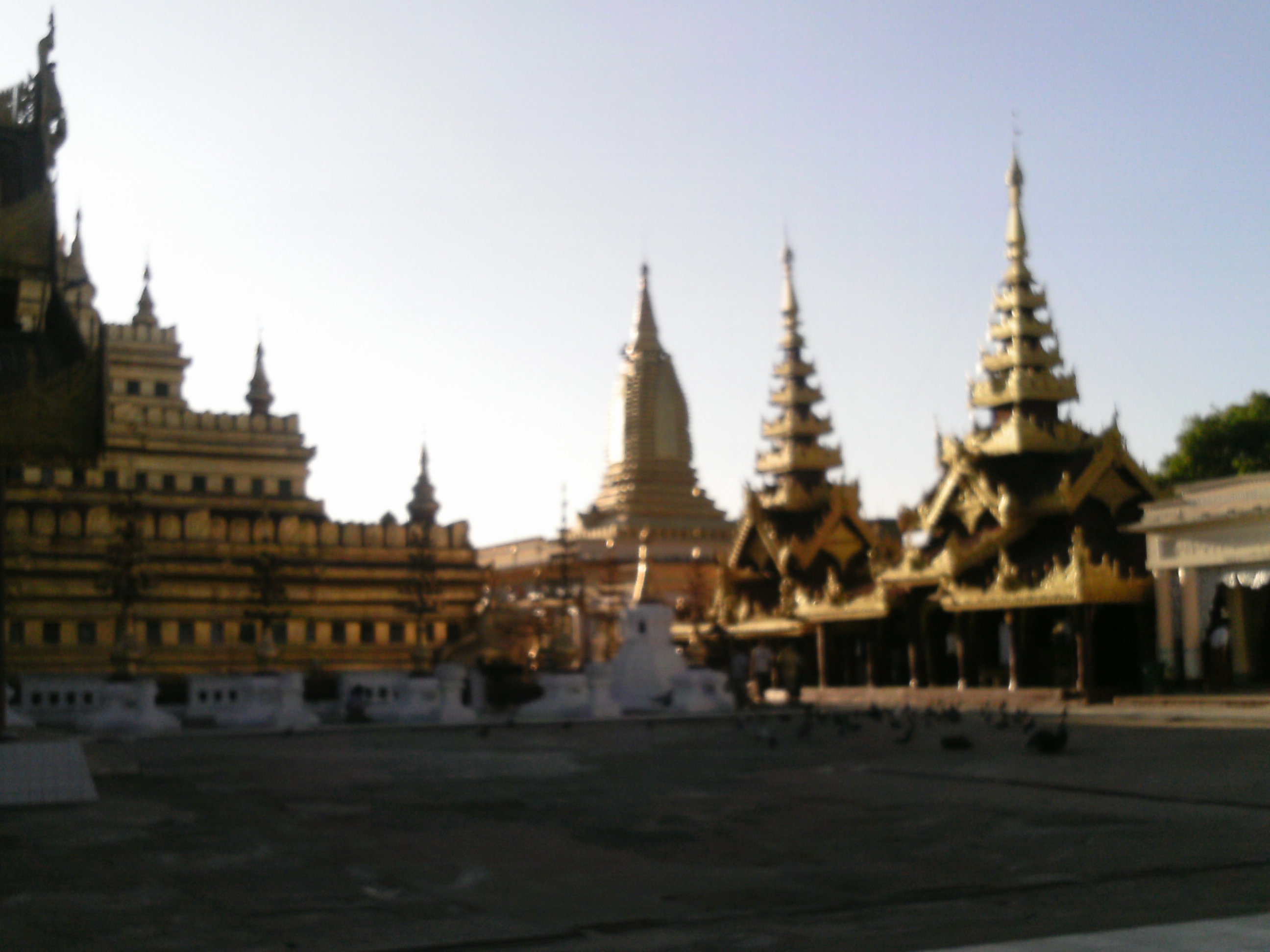f0107398_19583881.jpg
