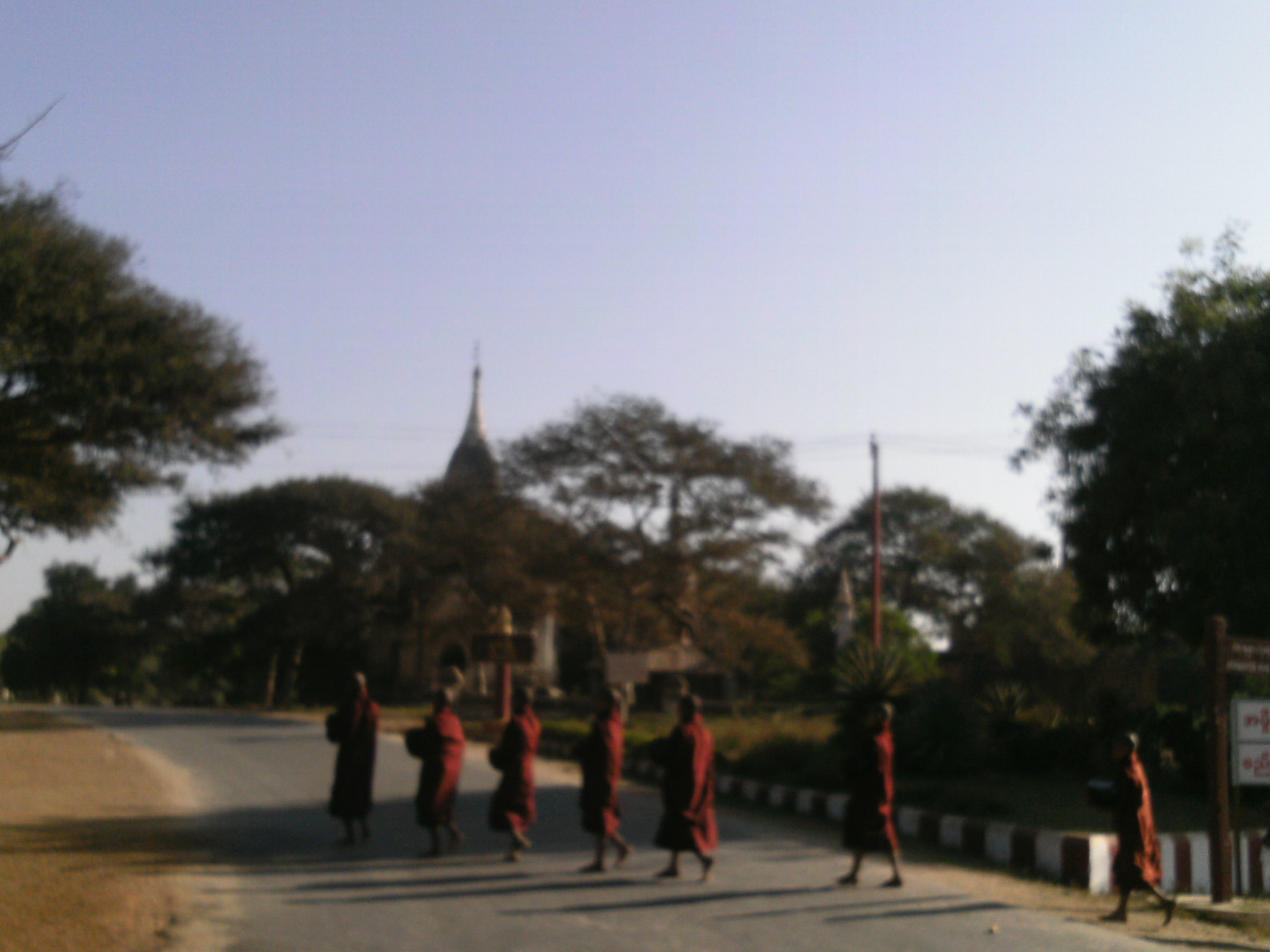 f0107398_2014069.jpg
