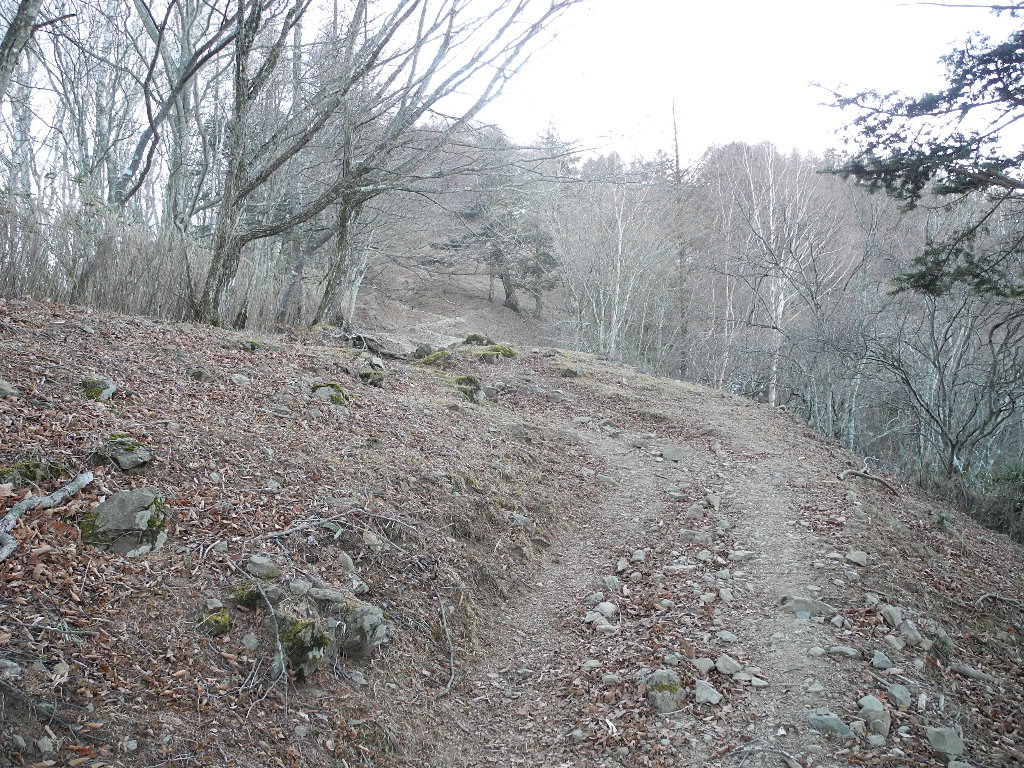 a0158802_2322448.jpg