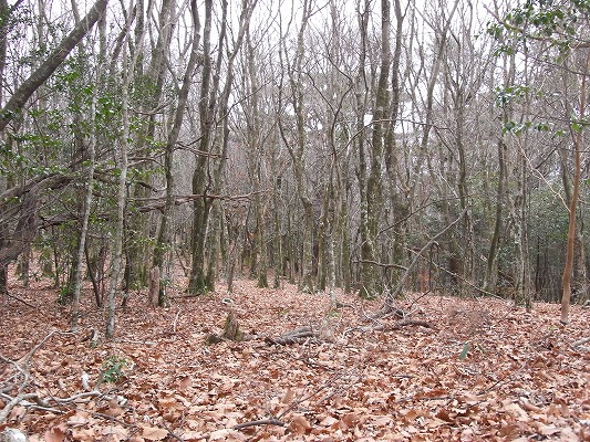 f0187402_21101184.jpg