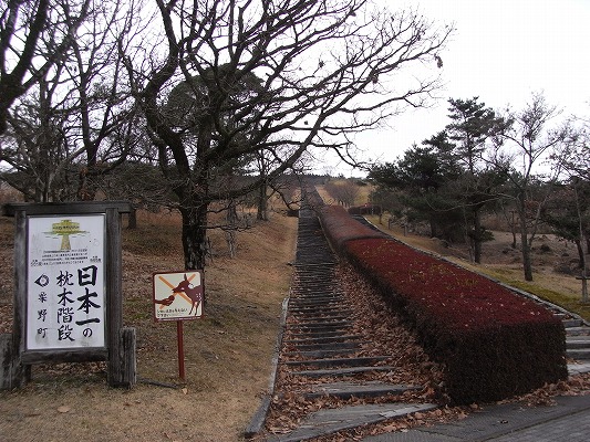 f0187402_219239.jpg