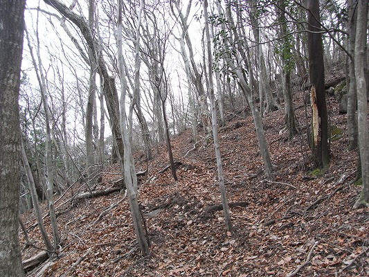 f0187402_2195418.jpg